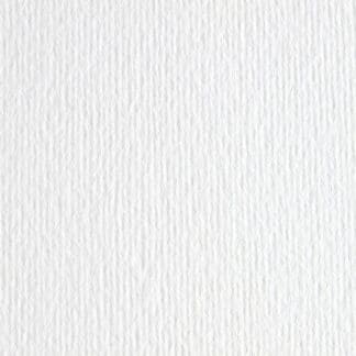 Картон кольоровий для пастелі Elle Erre 00 bianco А4 (21х29,7 см) 220 г/м.кв. Fabriano Італія