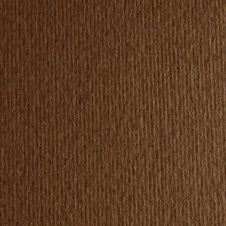 Картон кольоровий для пастелі Elle Erre 06 marrone А4 (21х29,7 см) 220 г/м.кв. Fabriano Італія