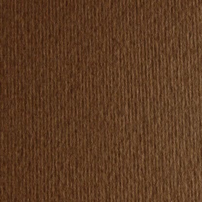 Картон цветной для пастели Elle Erre 06 marrone А4 (21х29,7 см) 220 г/м.кв. Fabriano Италия
