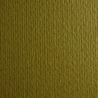 Картон кольоровий для пастелі Murillo 810 oliva 70х100 см 190 г/м.кв. Fabriano Італія