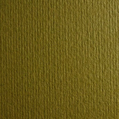 Картон кольоровий для пастелі Murillo 810 oliva А4 (21х29,7 см) 190 г/м.кв. Fabriano Італія