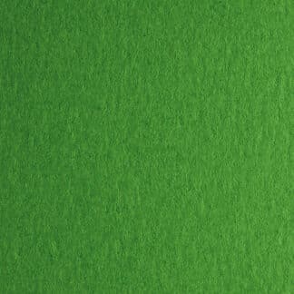 Картон дизайнерский Colore 31 verde 50х70 см 200 г/м.кв. Fabriano Италия