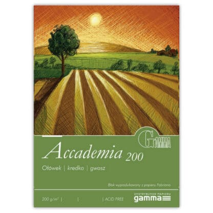 А2003245К20 Склейка для малювання Gamma Accademia 32,5х45 см 10 аркушів 200 г/м.кв., проклейка