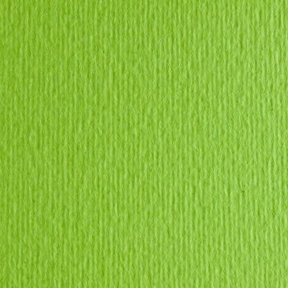 Картон цветной для пастели Elle Erre 10 verde pisello 50х70 см 220 г/м.кв. Fabriano Италия