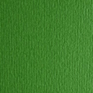 Картон кольоровий для пастелі Elle Erre 11 verde 50х70 см 220 г/м.кв. Fabriano Італія