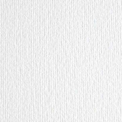 Картон цветной для пастели Elle Erre 00 bianco 70х100 см 220 г/м.кв. Fabriano Италия