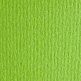 Картон кольоровий для пастелі Elle Erre 10 verde pisello 70х100 см 220 г/м.кв. Fabriano Італія