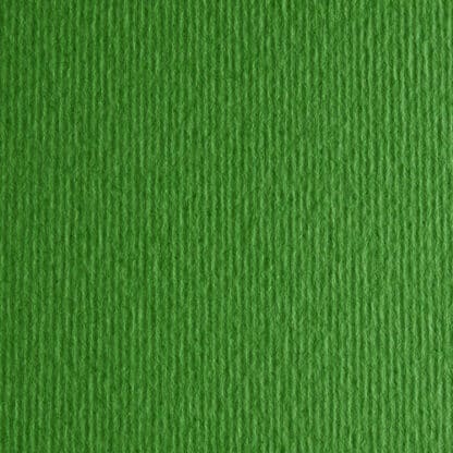 Картон кольоровий для пастелі Elle Erre 11 verde 70х100 см 220 г/м.кв. Fabriano Італія